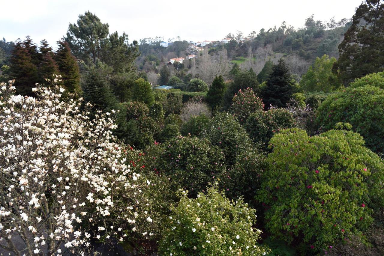 Villa Casas De Pedra Camacha  Esterno foto